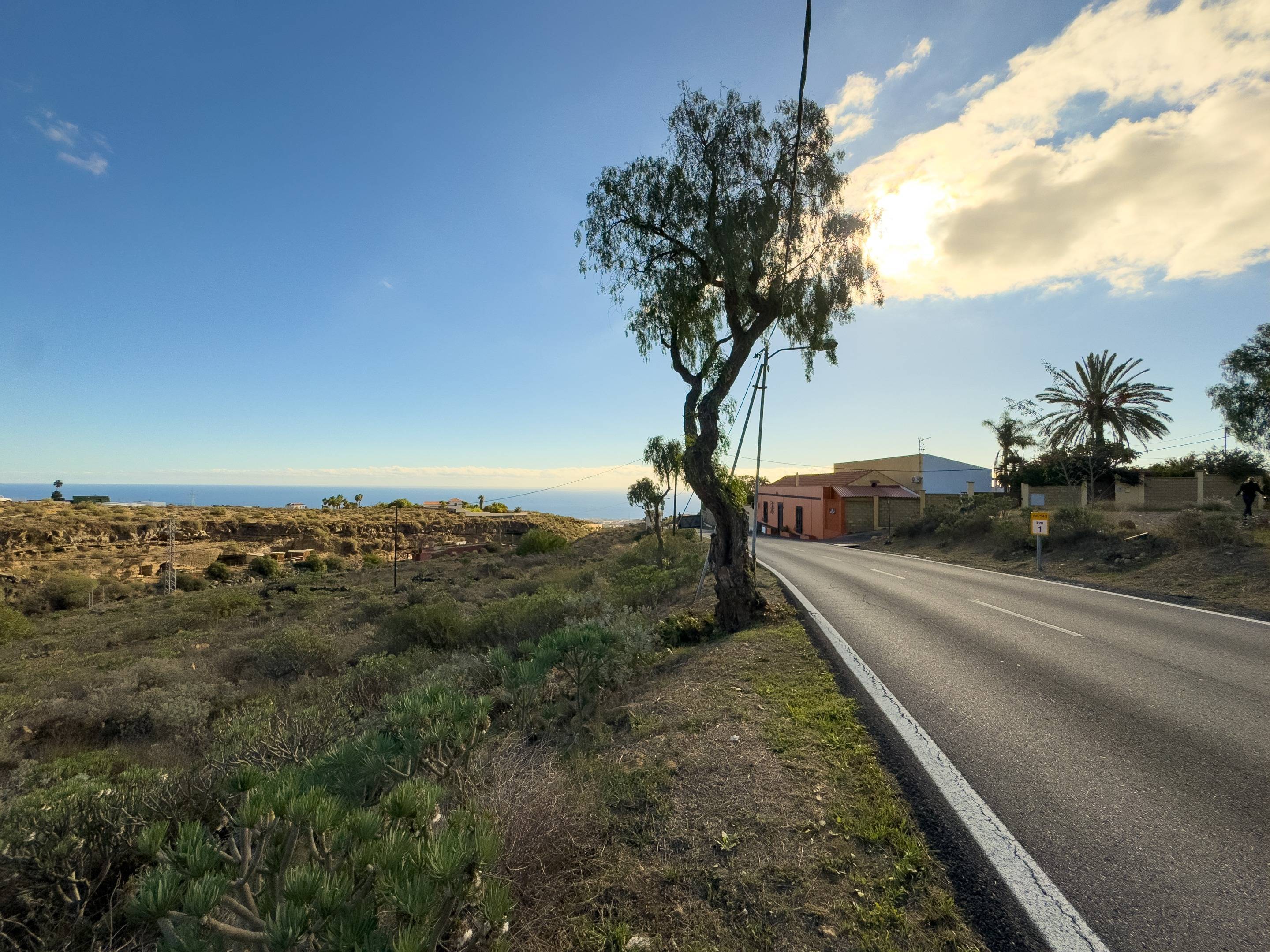 Fincas y solares-Venta-Arafo-1712528-Foto-22