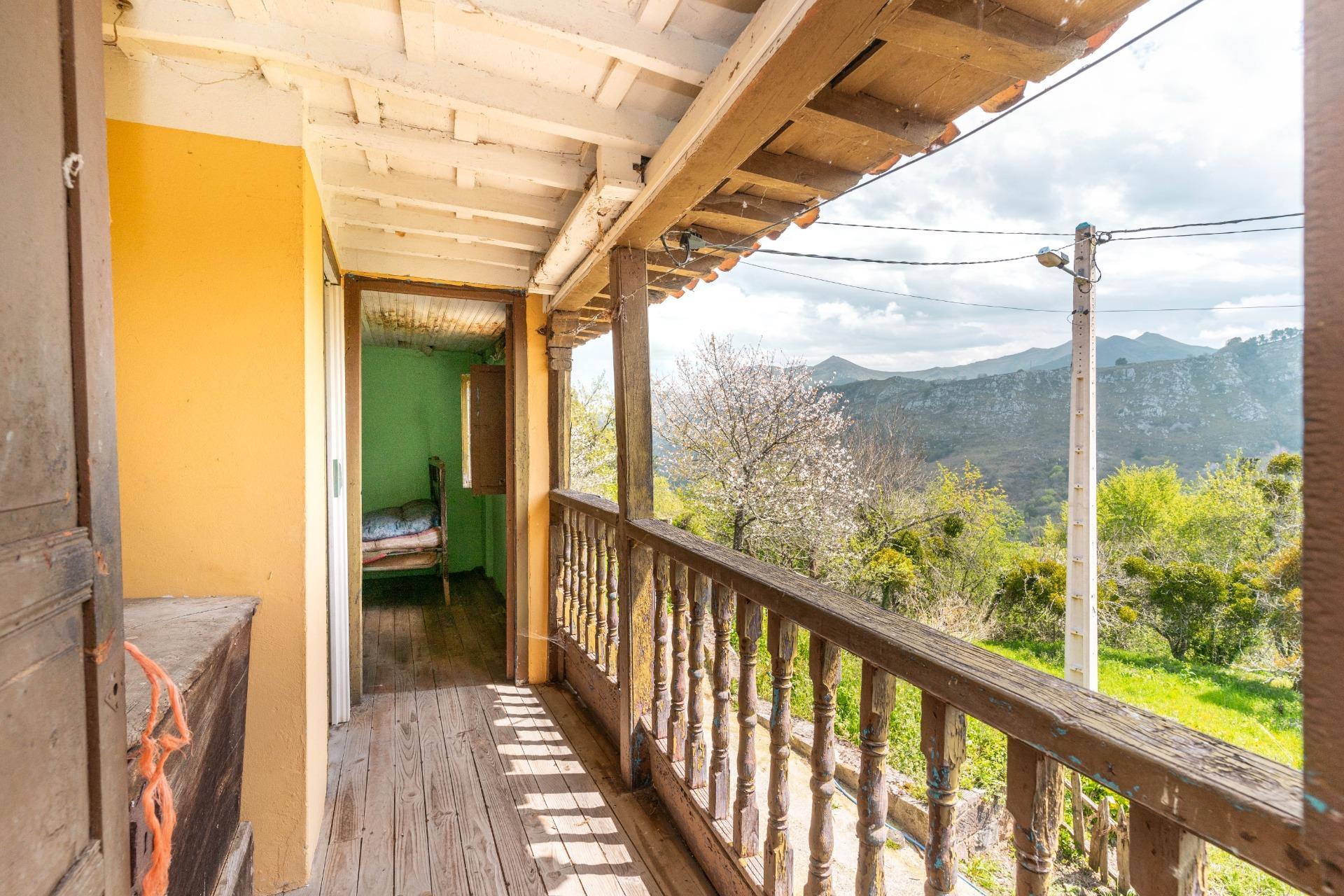 Casas o chalets-Venta-PiloÃ±a-1724103-Foto-21