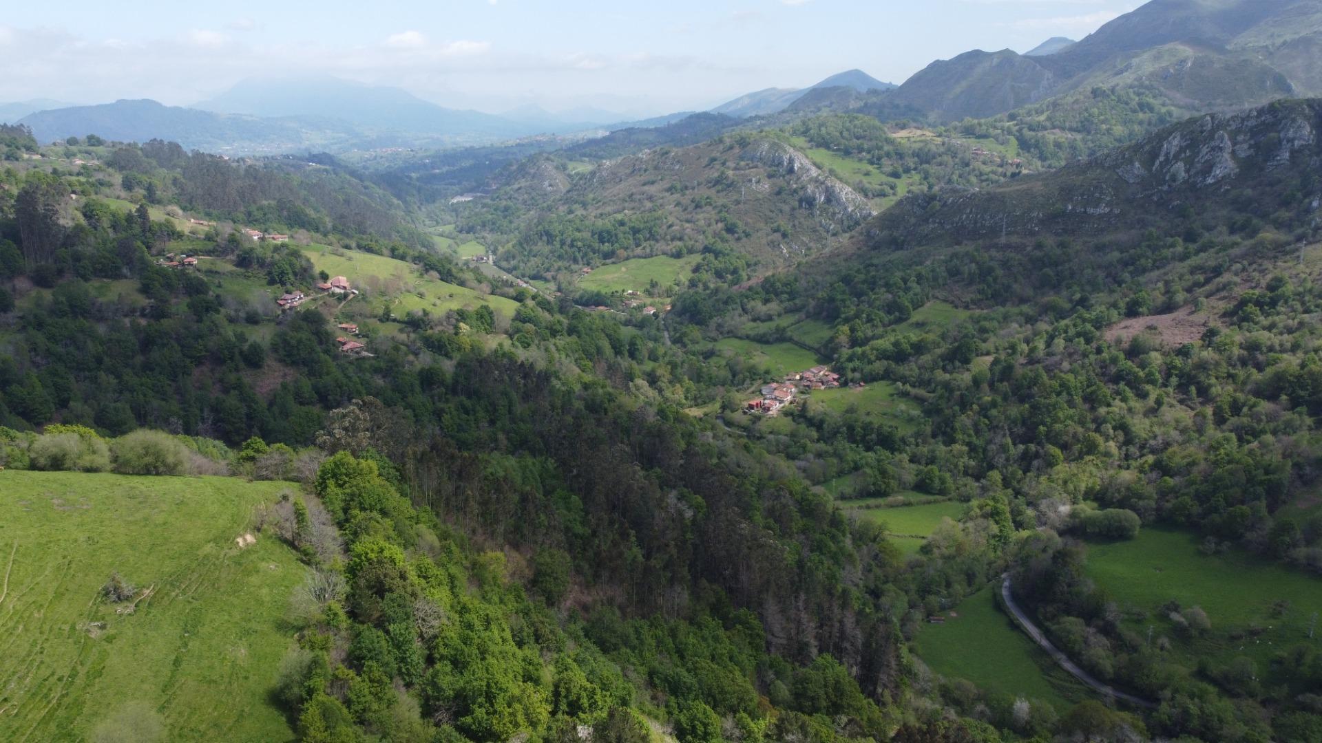 Casas o chalets-Venta-PiloÃ±a-1724103-Foto-45