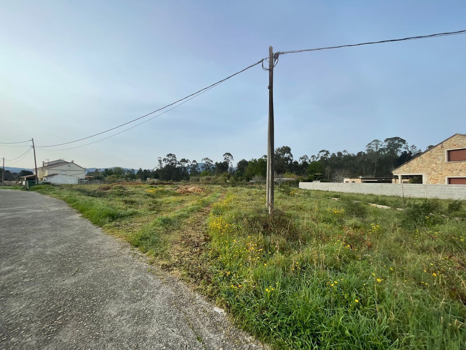 Fincas y solares-Venta-TomiÃ±o-898669-Foto-2