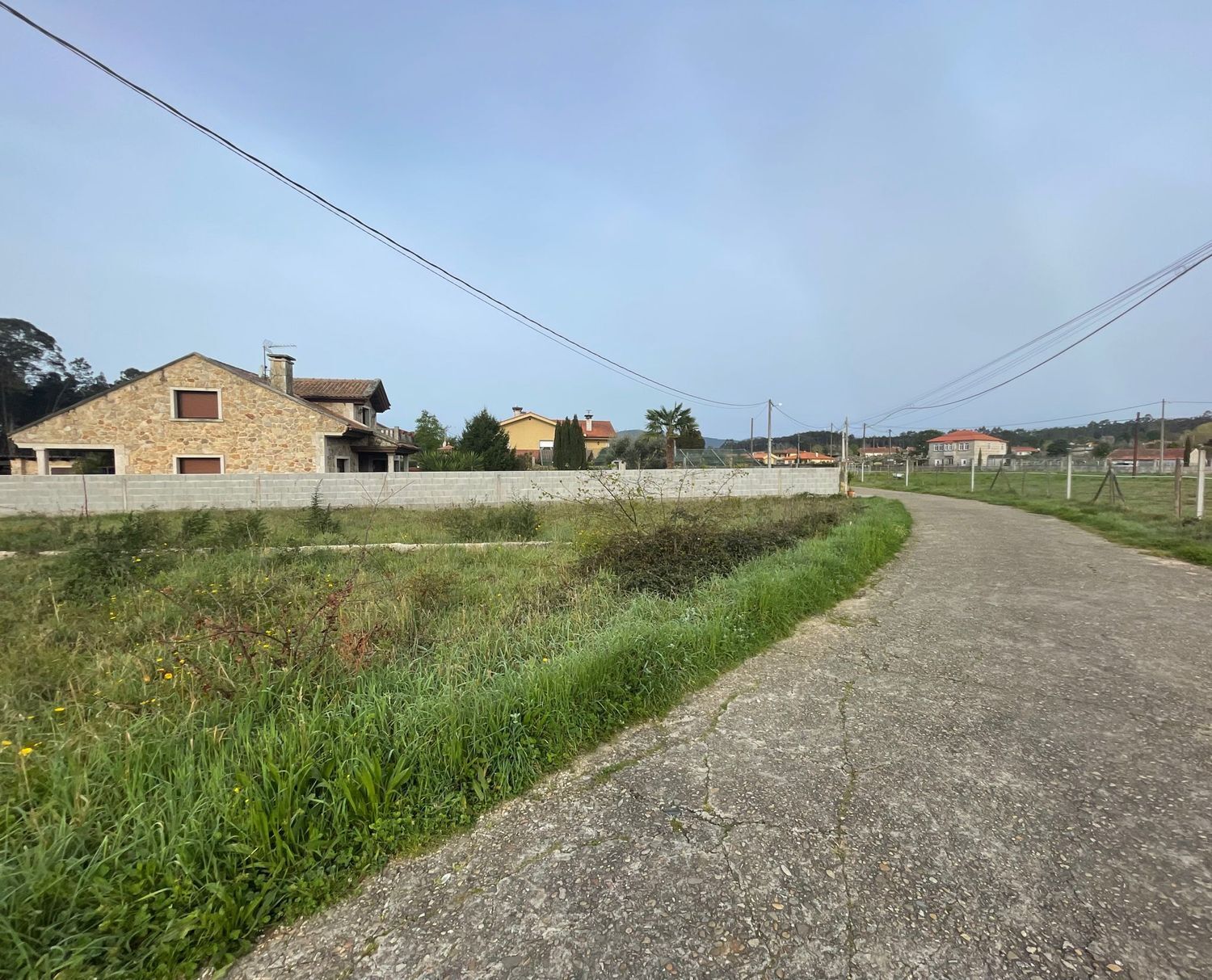 Fincas y solares-Venta-TomiÃ±o-898669-Foto-4