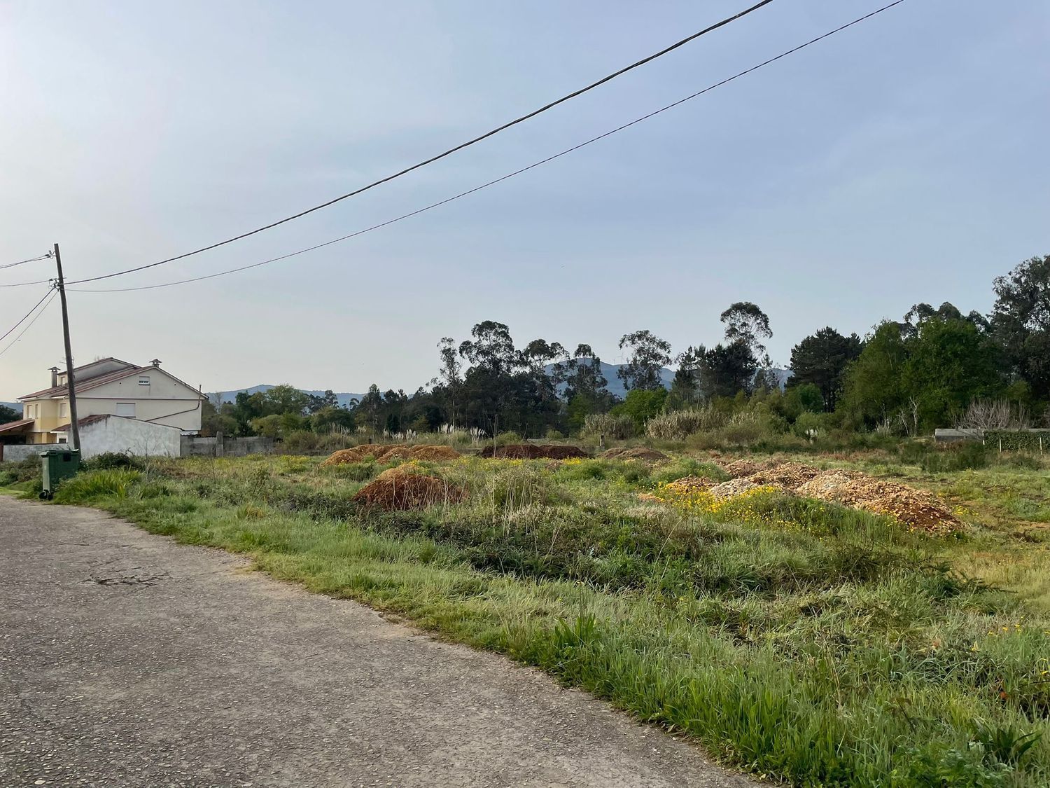 Fincas y solares-Venta-TomiÃ±o-898669-Foto-7
