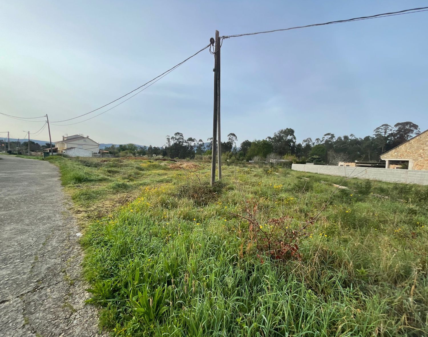 Fincas y solares-Venta-TomiÃ±o-898669-Foto-12