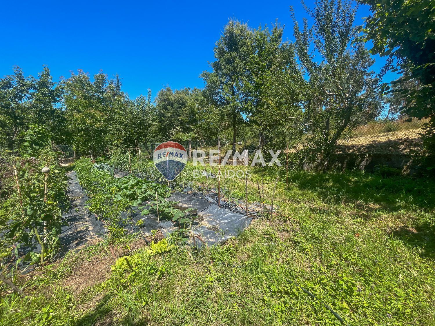 Casas o chalets-Venta-TomiÃ±o-1270246-Foto-16