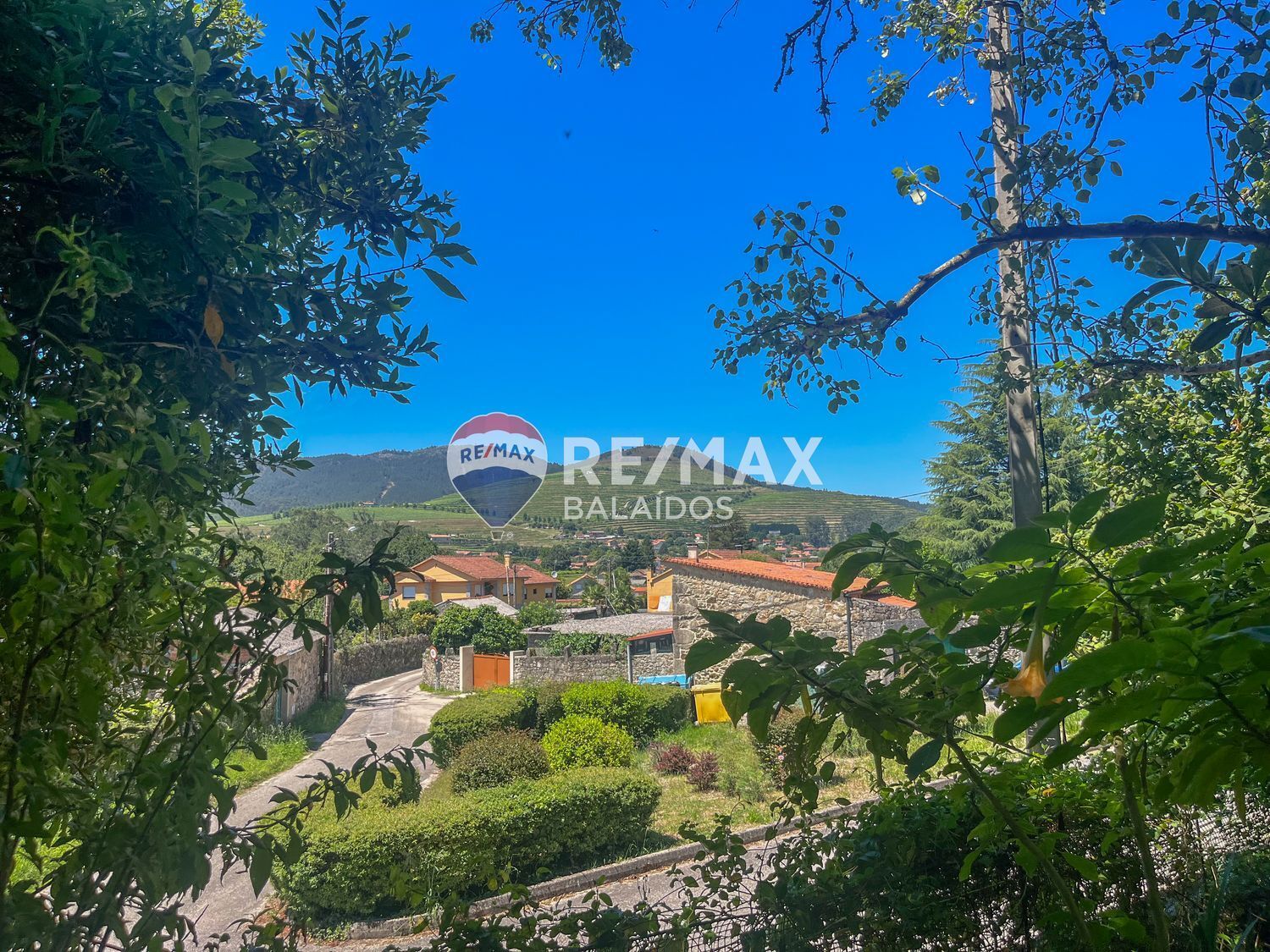 Casas o chalets-Venta-TomiÃ±o-1270246-Foto-22