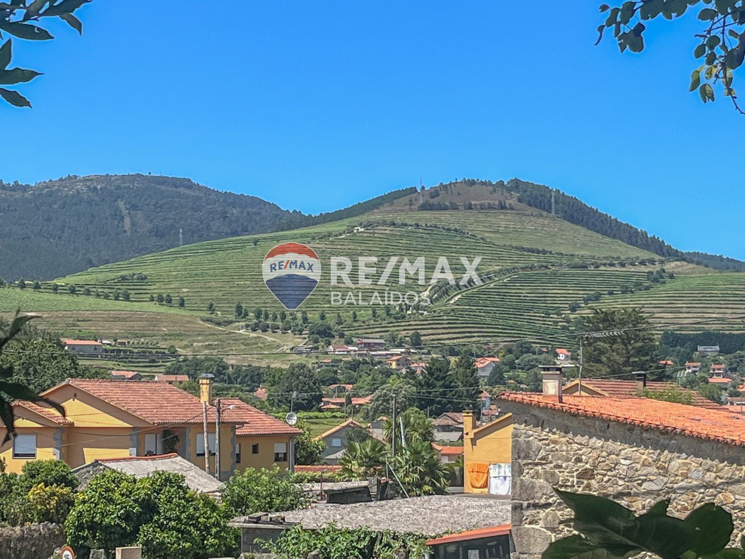 Casas o chalets-Venta-TomiÃ±o-1270246-Foto-41