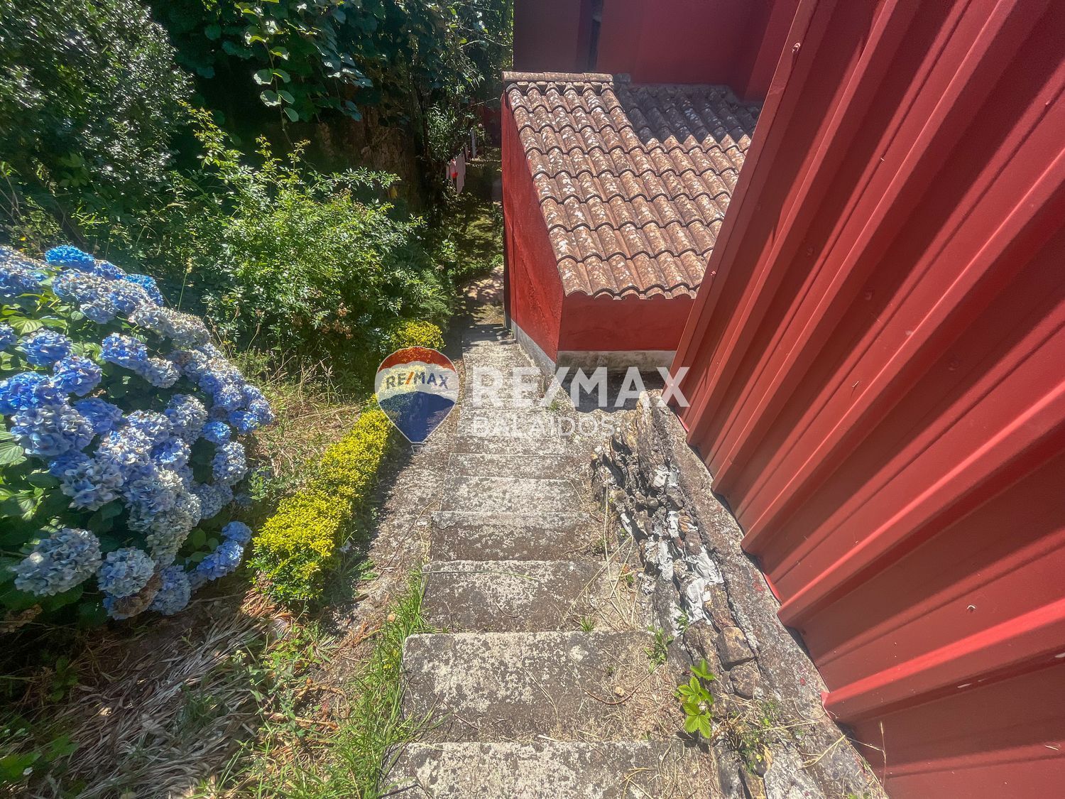 Casas o chalets-Venta-TomiÃ±o-1270246-Foto-46
