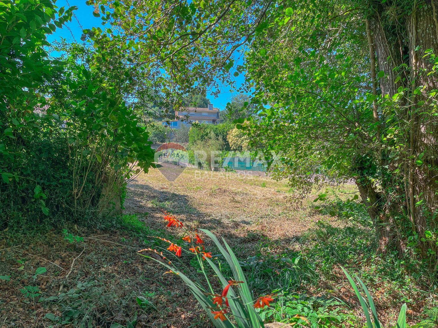 Fincas y solares-Venta-Gondomar-1768754-Foto-28