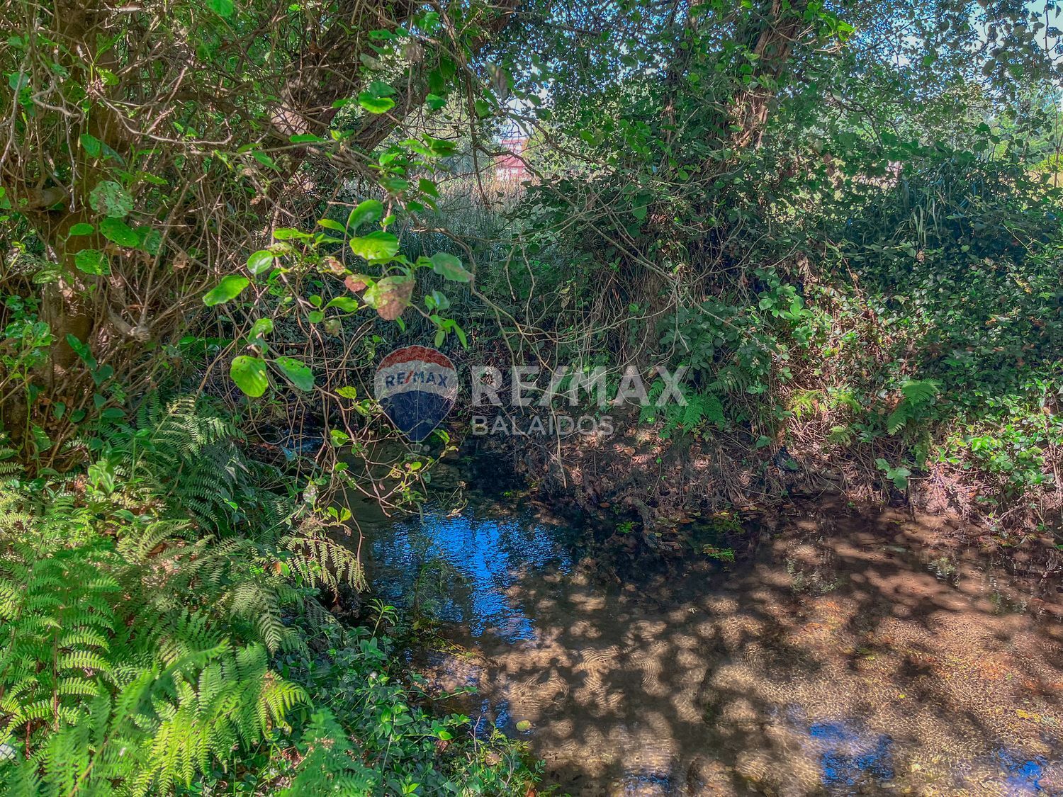 Fincas y solares-Venta-Gondomar-1768754-Foto-27