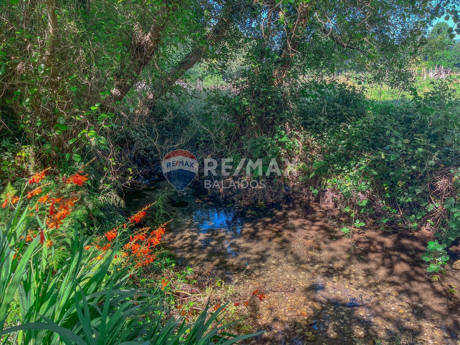 Fincas y solares-Venta-Gondomar-1768754-Foto-29