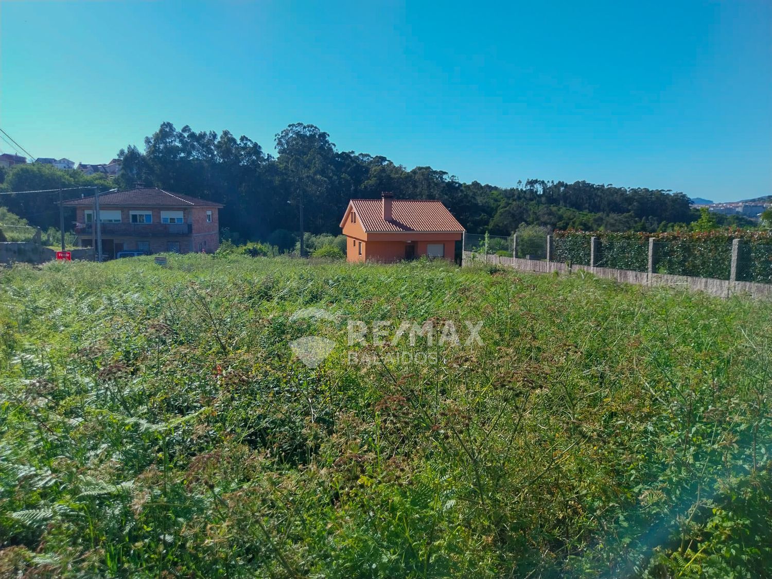 Fincas y solares-Venta-Vigo-1090841-Foto-3