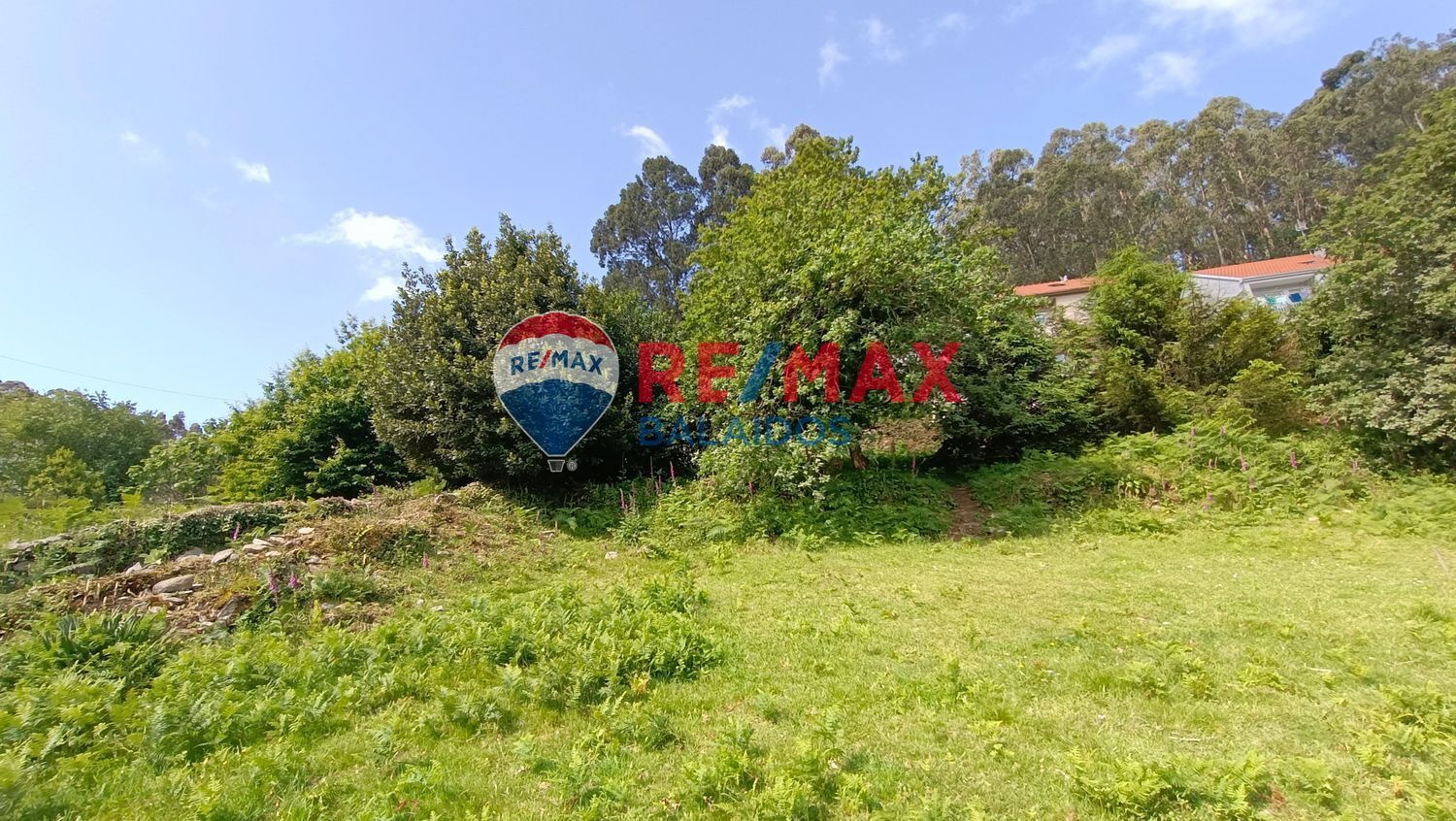 Fincas y solares-Venta-Bueu-876527-Foto-20