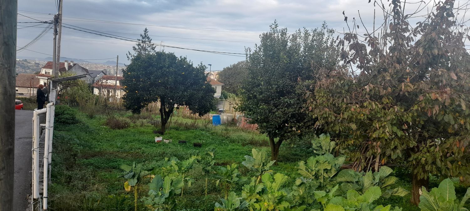 Fincas y solares-Venta-Vigo-1503071