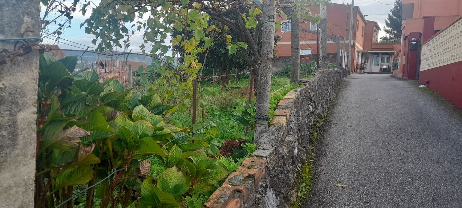 Fincas y solares-Venta-Vigo-1503071-Foto-6