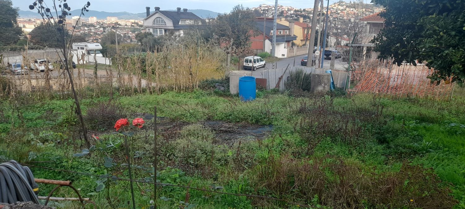 Fincas y solares-Venta-Vigo-1503071-Foto-4