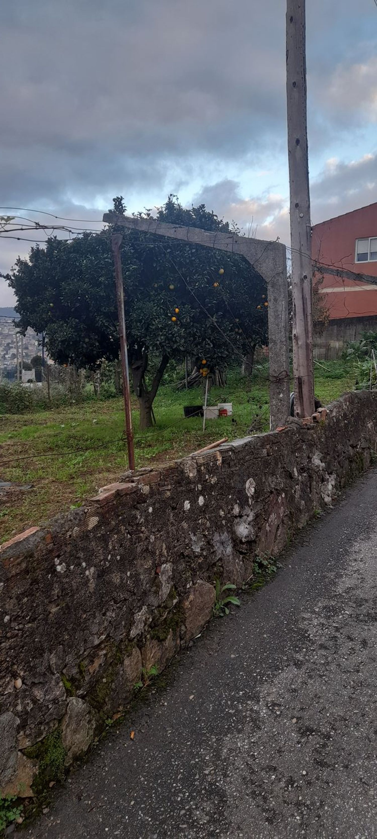 Fincas y solares-Venta-Vigo-1503071-Foto-7