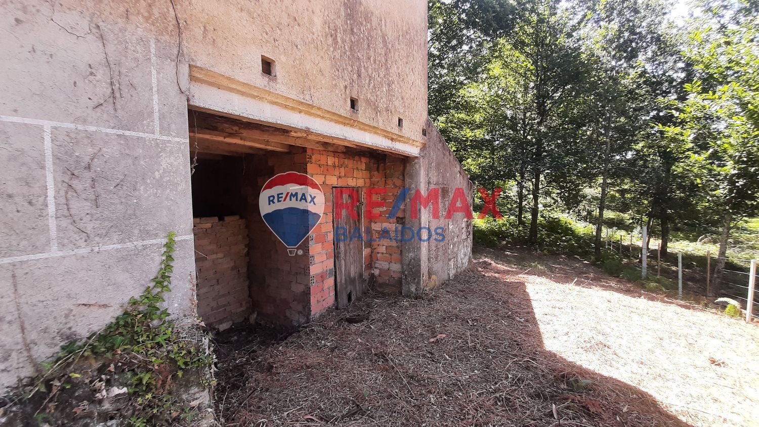 Fincas y solares-Venta-A CaÃ±iza-914228-Foto-8