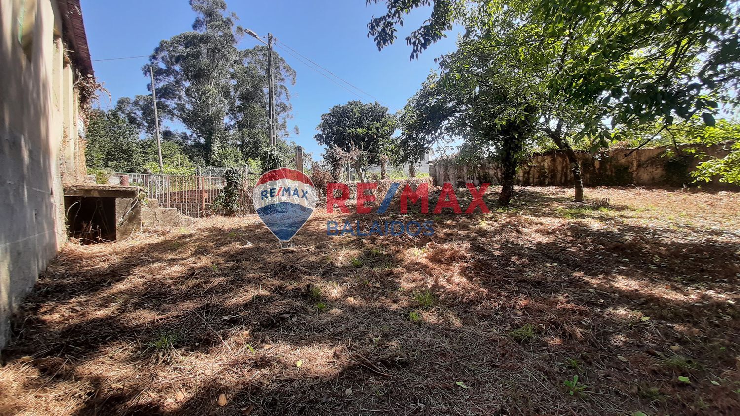 Fincas y solares-Venta-A CaÃ±iza-914228-Foto-10