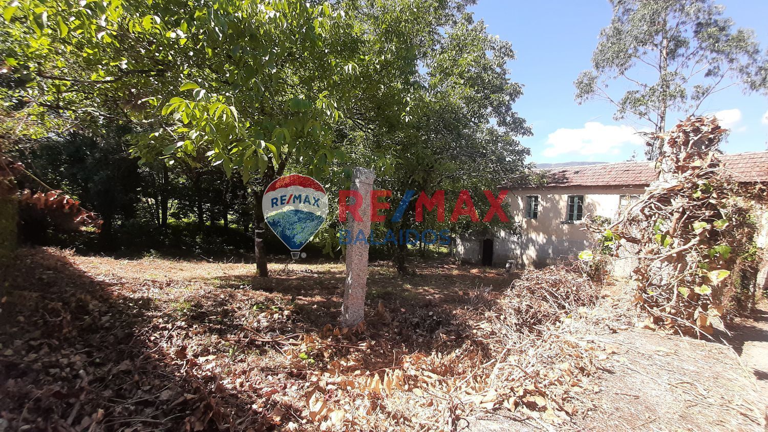 Fincas y solares-Venta-A CaÃ±iza-914228-Foto-5
