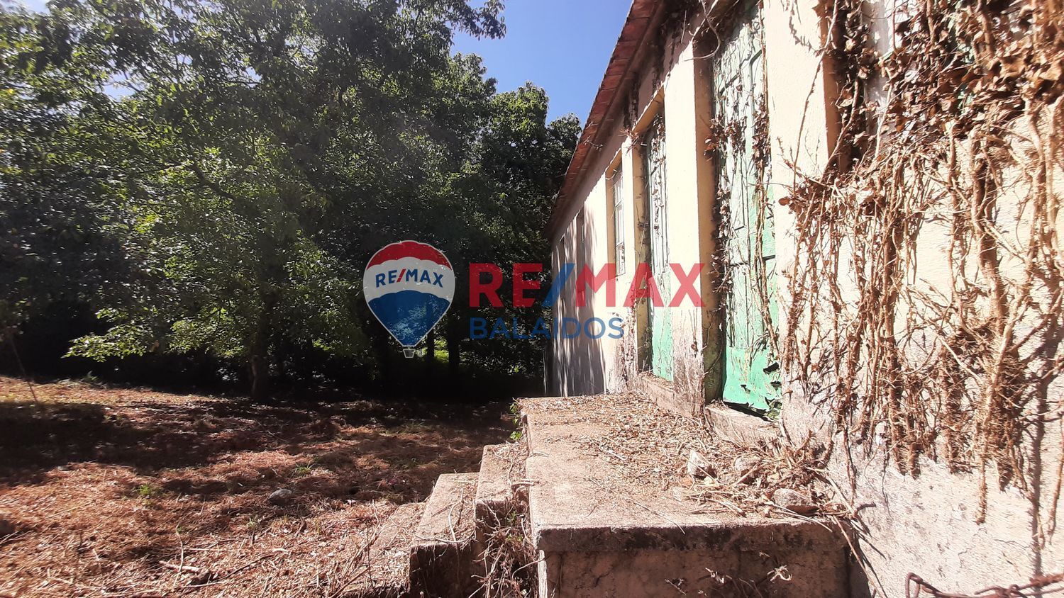 Fincas y solares-Venta-A CaÃ±iza-914228-Foto-11