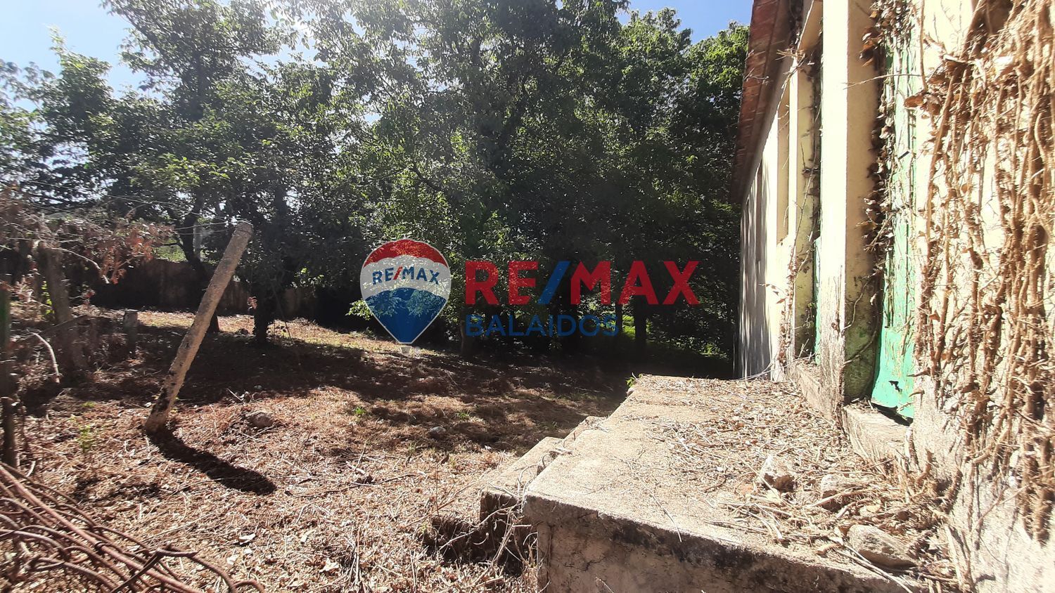 Fincas y solares-Venta-A CaÃ±iza-914228-Foto-14