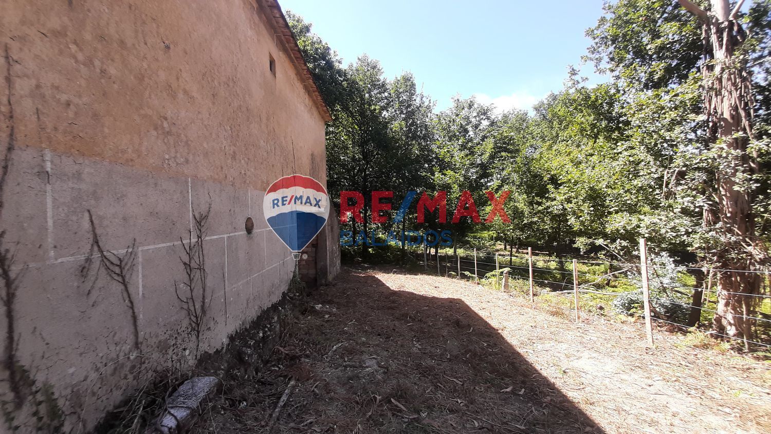 Fincas y solares-Venta-A CaÃ±iza-914228-Foto-15
