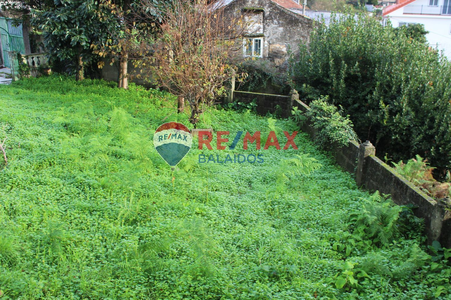 Fincas y solares-Venta-Vigo-1021673-Foto-4