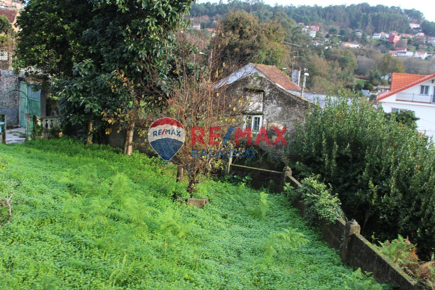 Fincas y solares-Venta-Vigo-1021673-Foto-8