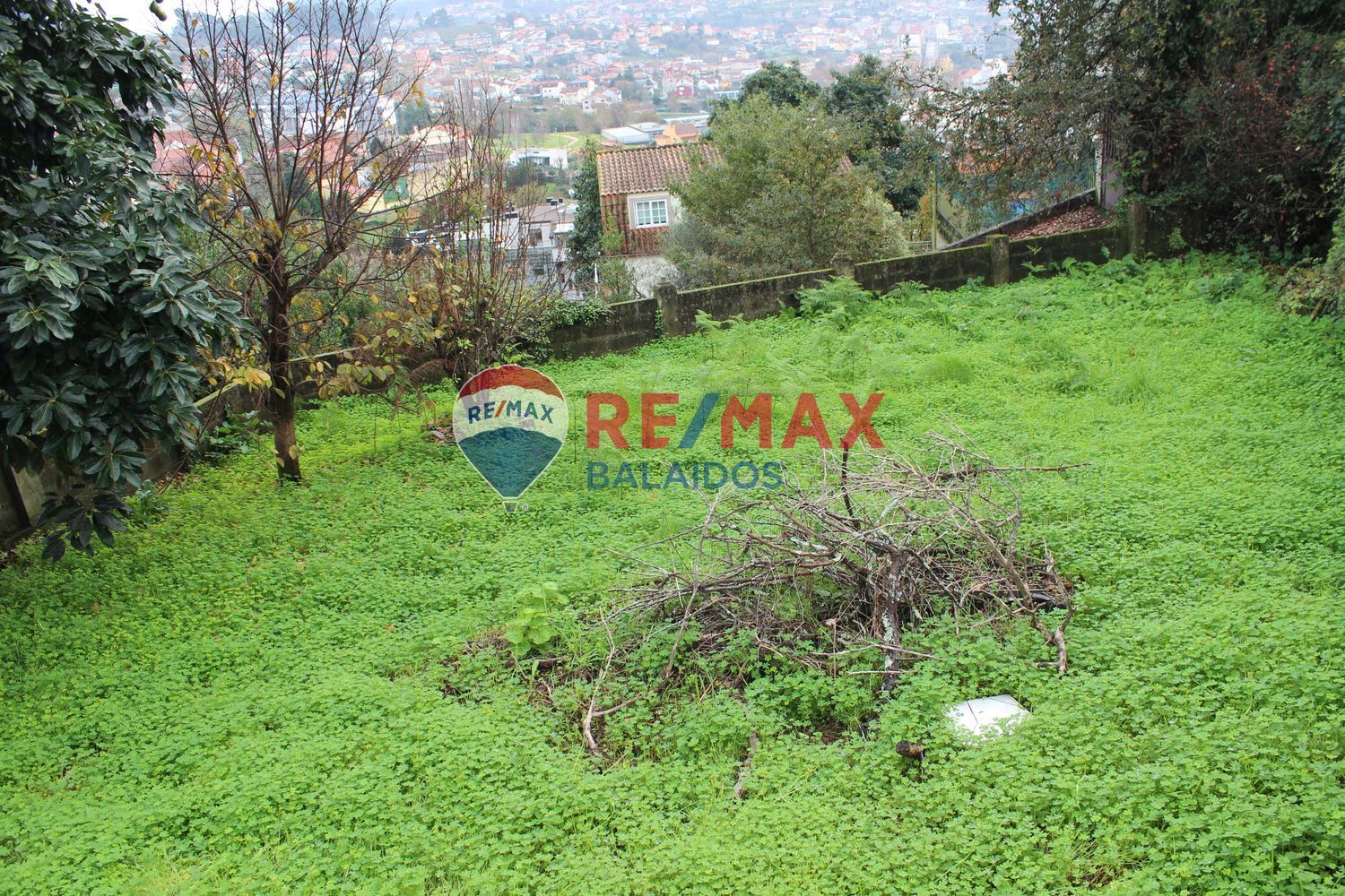 Fincas y solares-Venta-Vigo-1021673-Foto-19