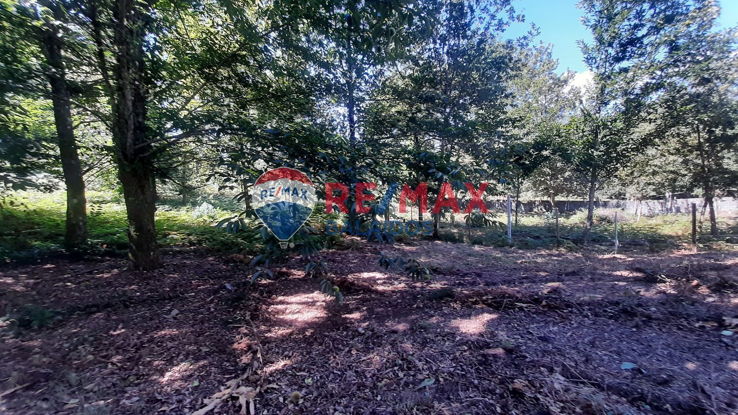 Casas o chalets-Venta-A CaÃ±iza-1324507-Foto-14