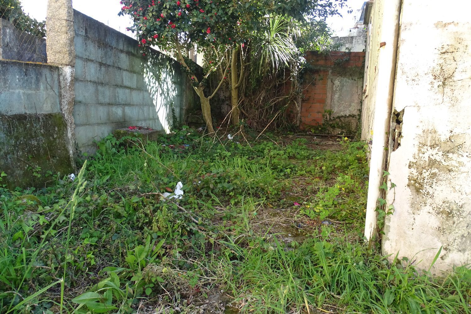 Casas o chalets-Venta-Vigo-1718185-Foto-11