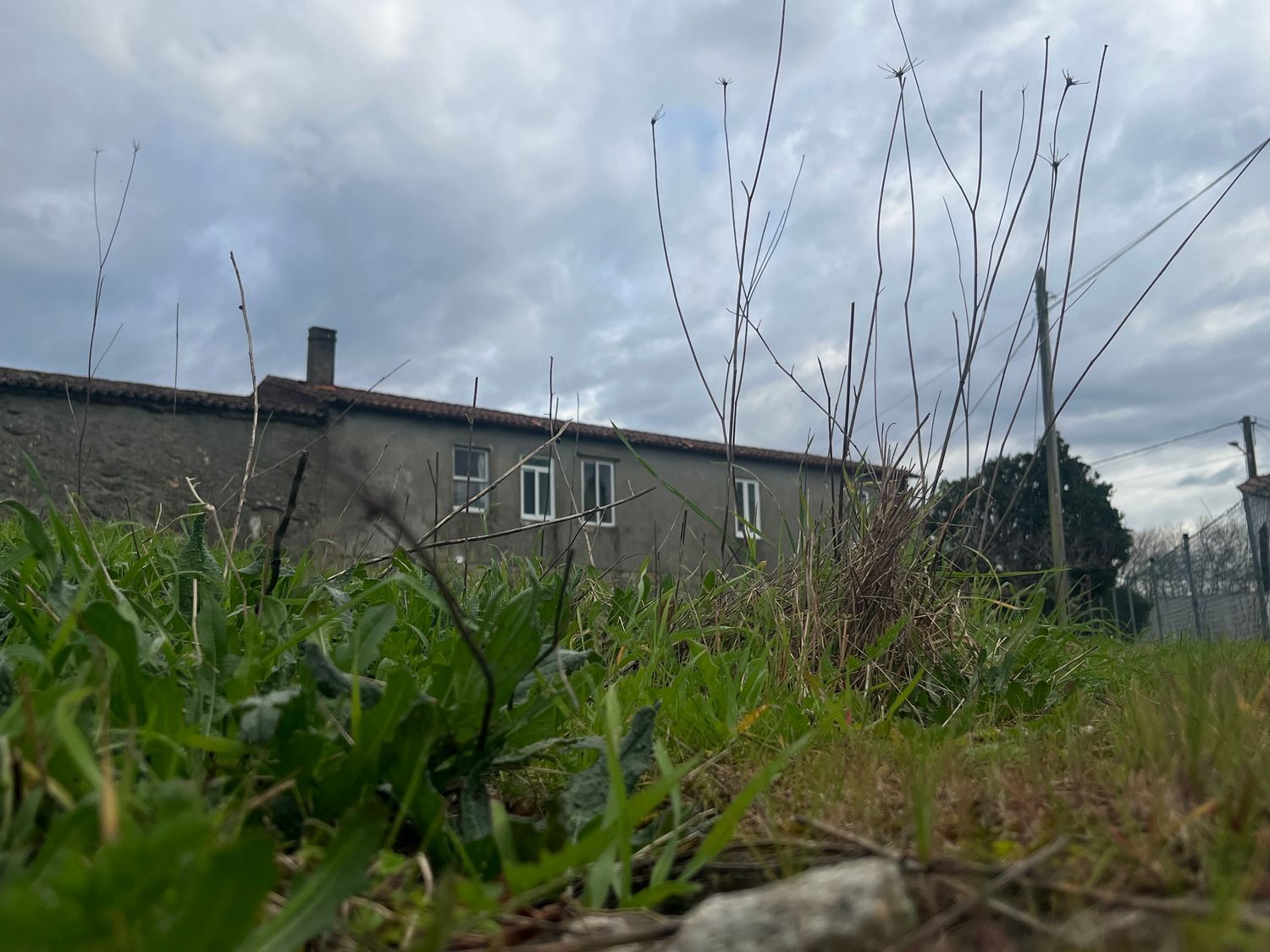 Casas o chalets-Venta-O Rosal-1656052-Foto-2