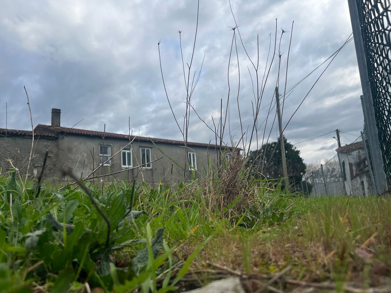 Casas o chalets-Venta-1656052