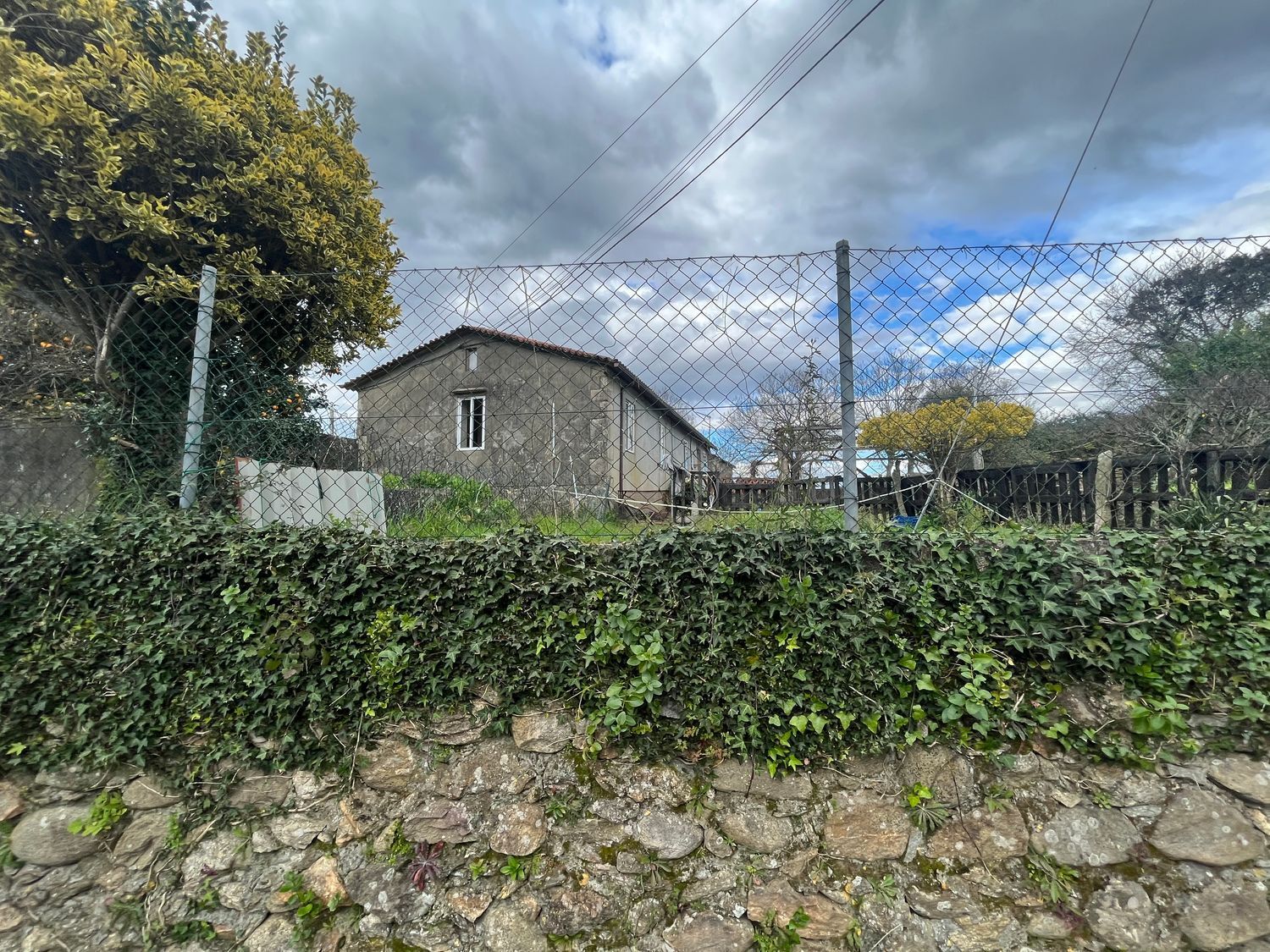 Casas o chalets-Venta-O Rosal-1656052-Foto-3