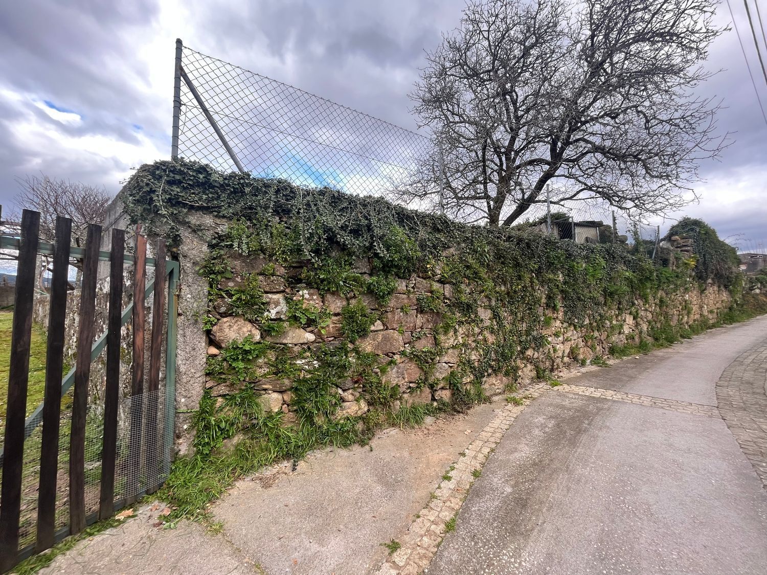 Casas o chalets-Venta-O Rosal-1656052-Foto-5