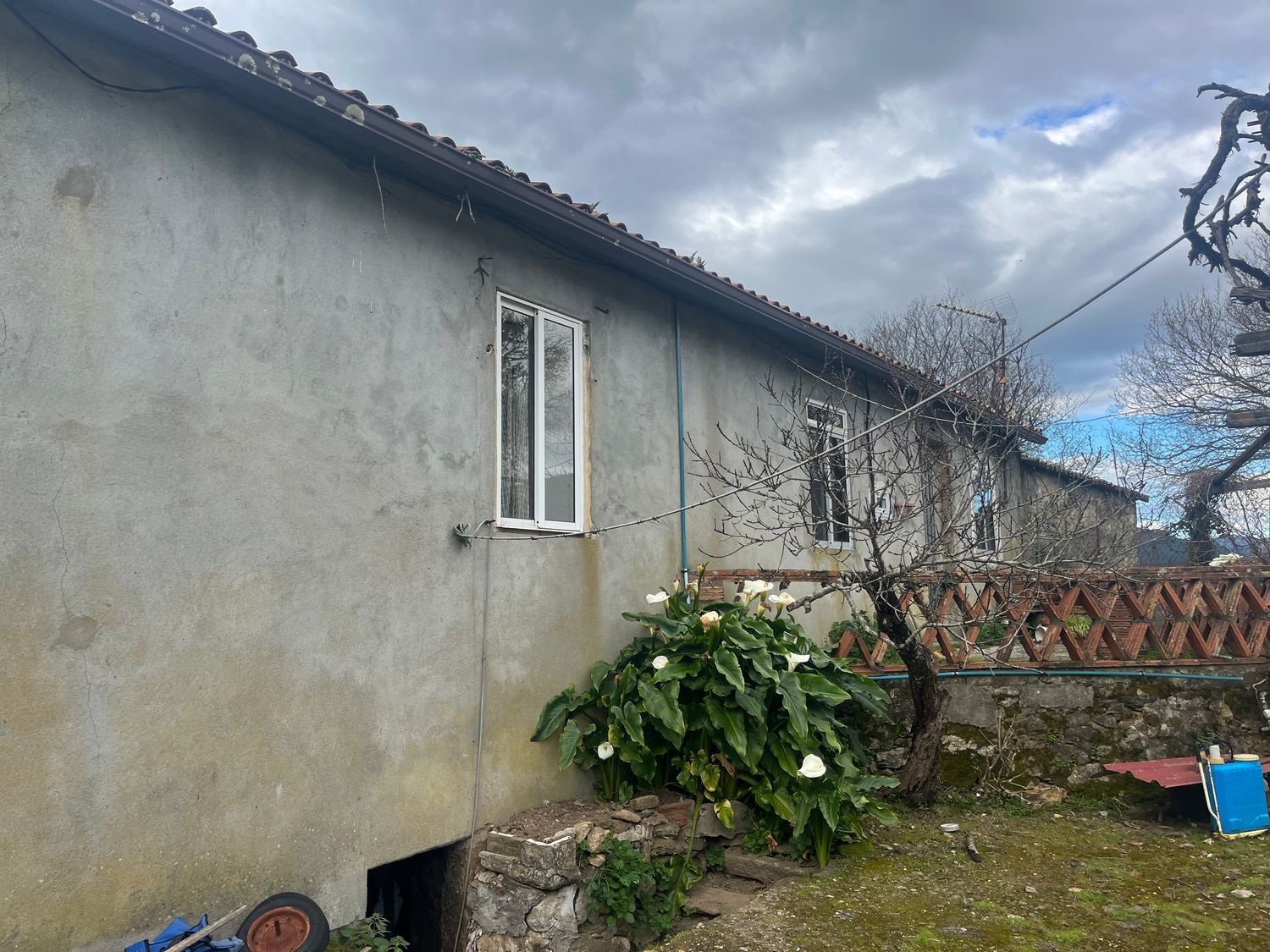 Casas o chalets-Venta-O Rosal-1656052-Foto-9