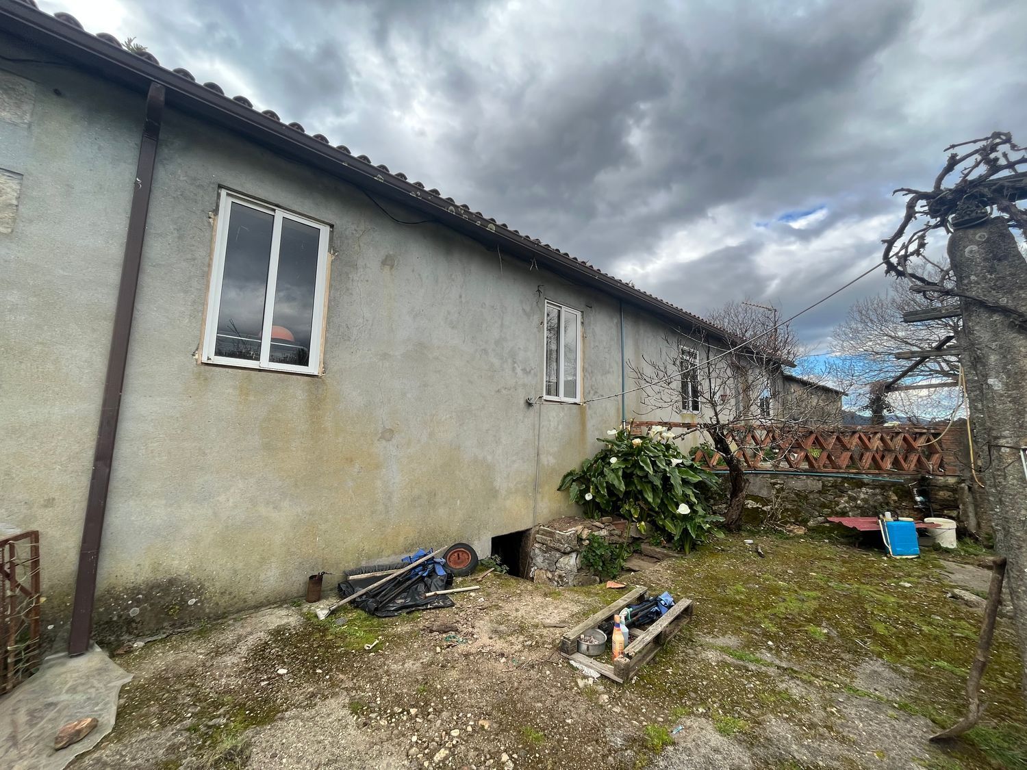 Casas o chalets-Venta-O Rosal-1656052-Foto-8