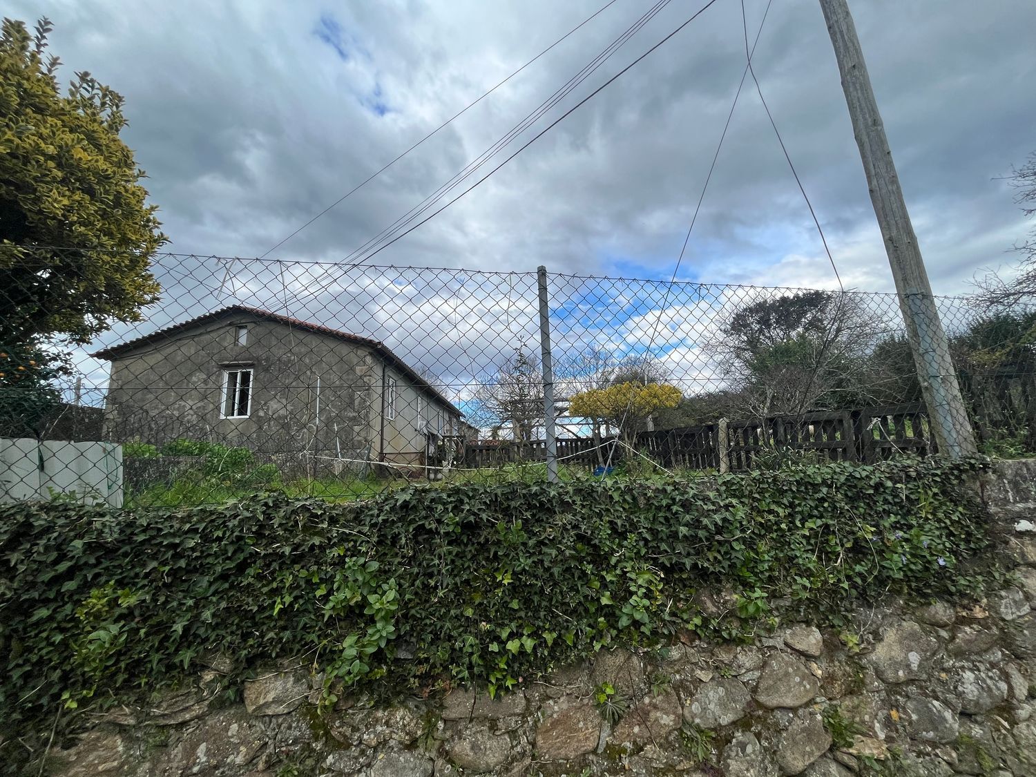 Casas o chalets-Venta-O Rosal-1656052-Foto-7