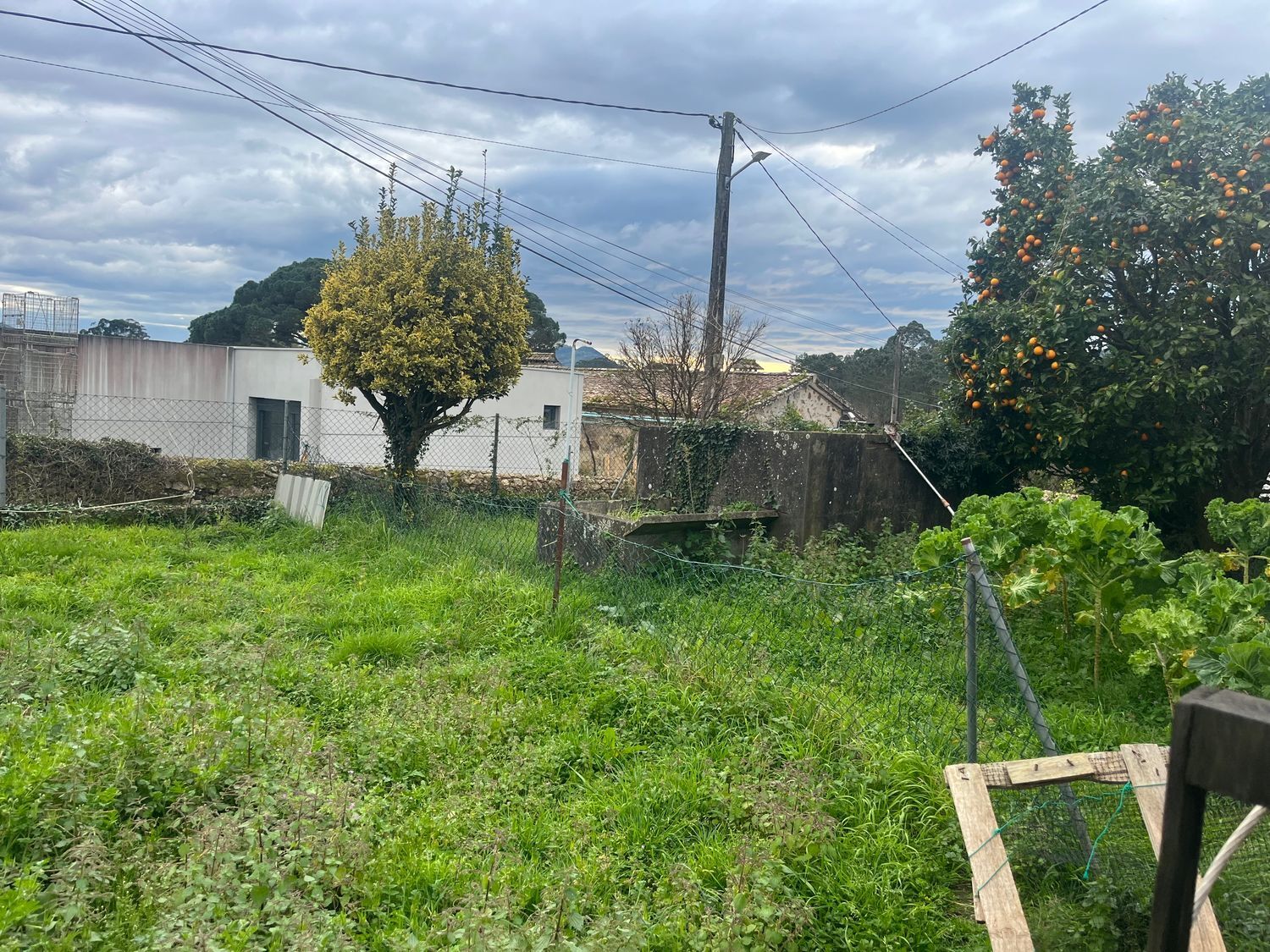 Casas o chalets-Venta-O Rosal-1656052-Foto-10