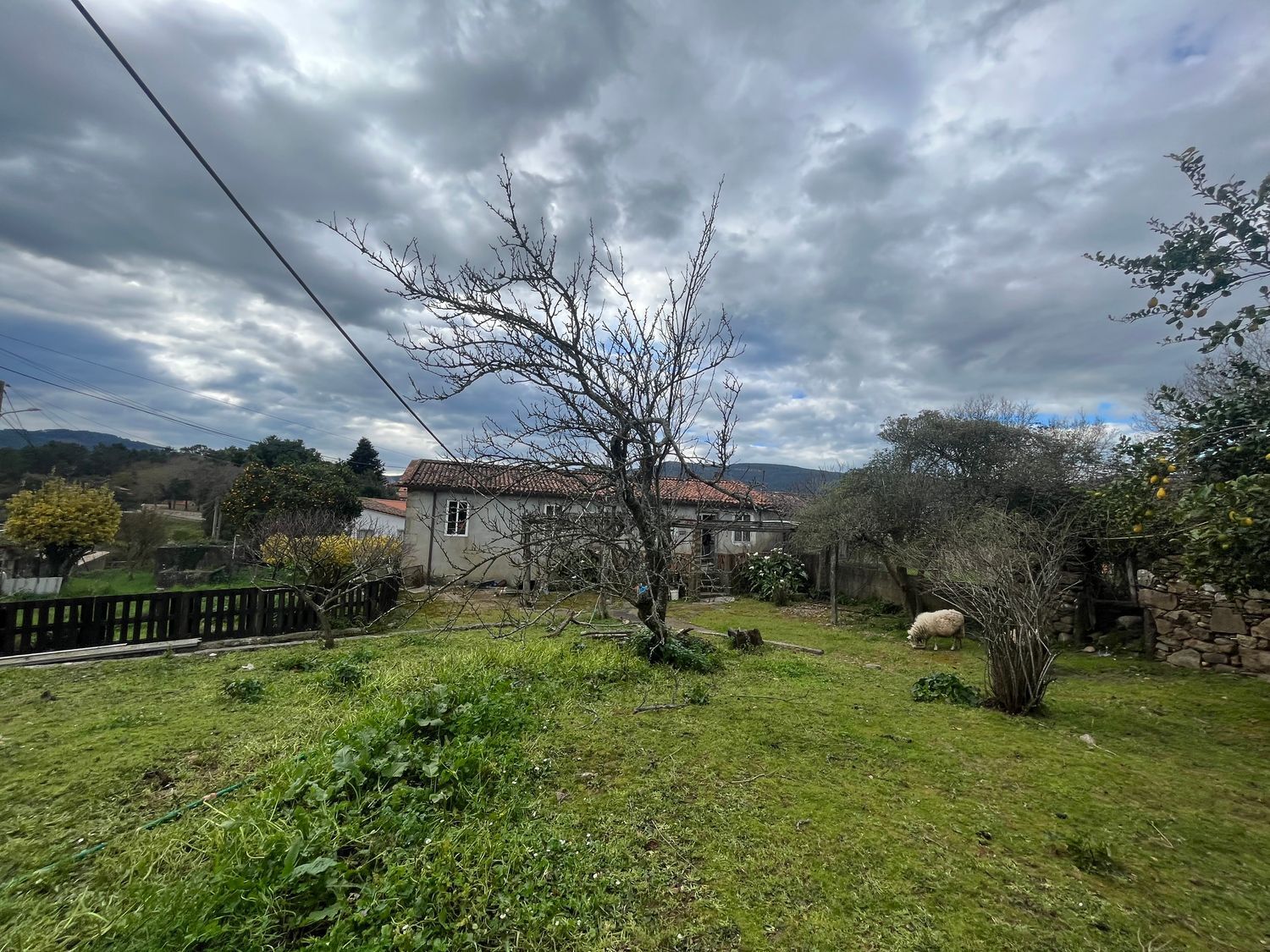 Casas o chalets-Venta-O Rosal-1656052-Foto-25