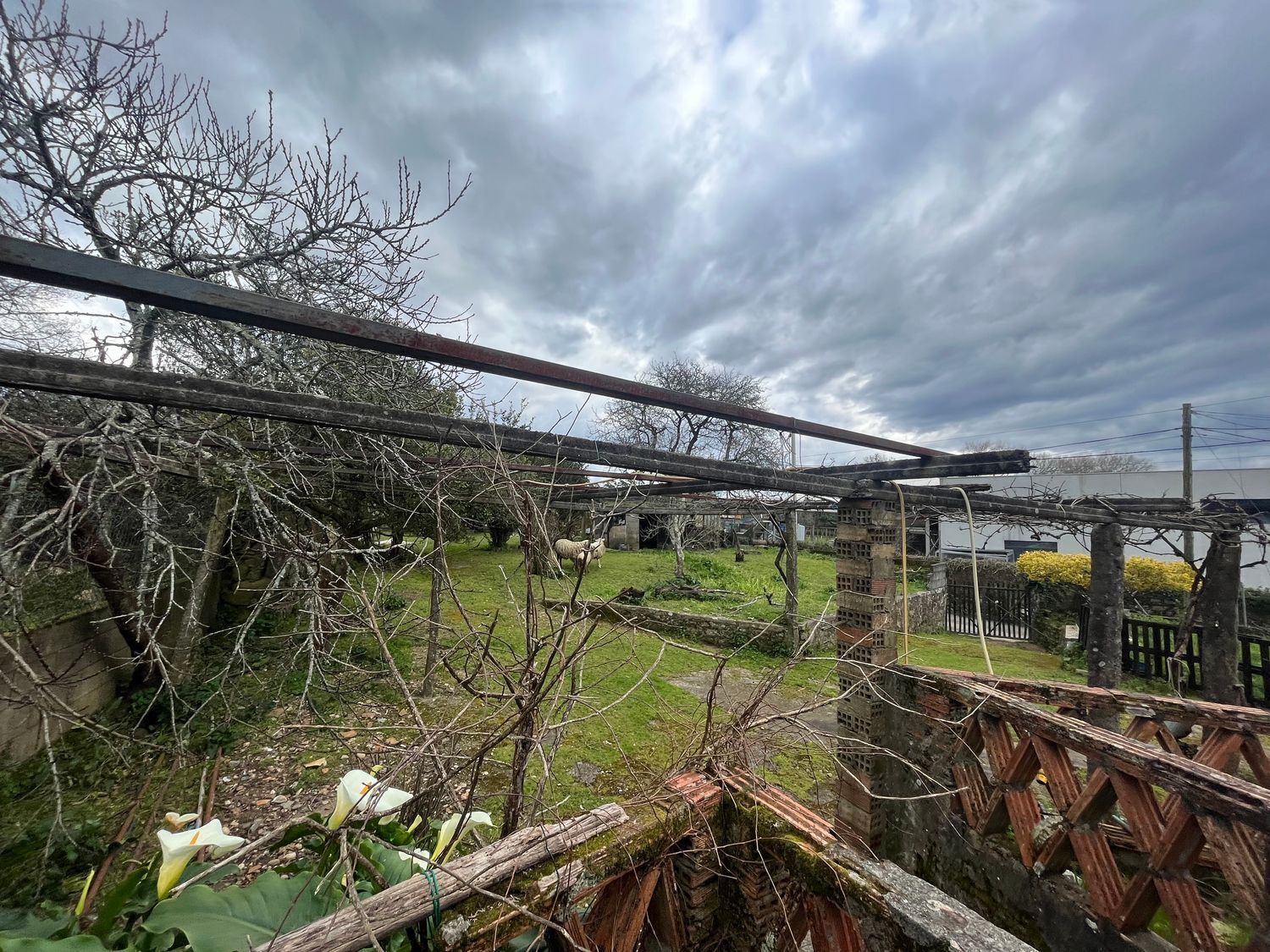 Casas o chalets-Venta-O Rosal-1656052-Foto-28