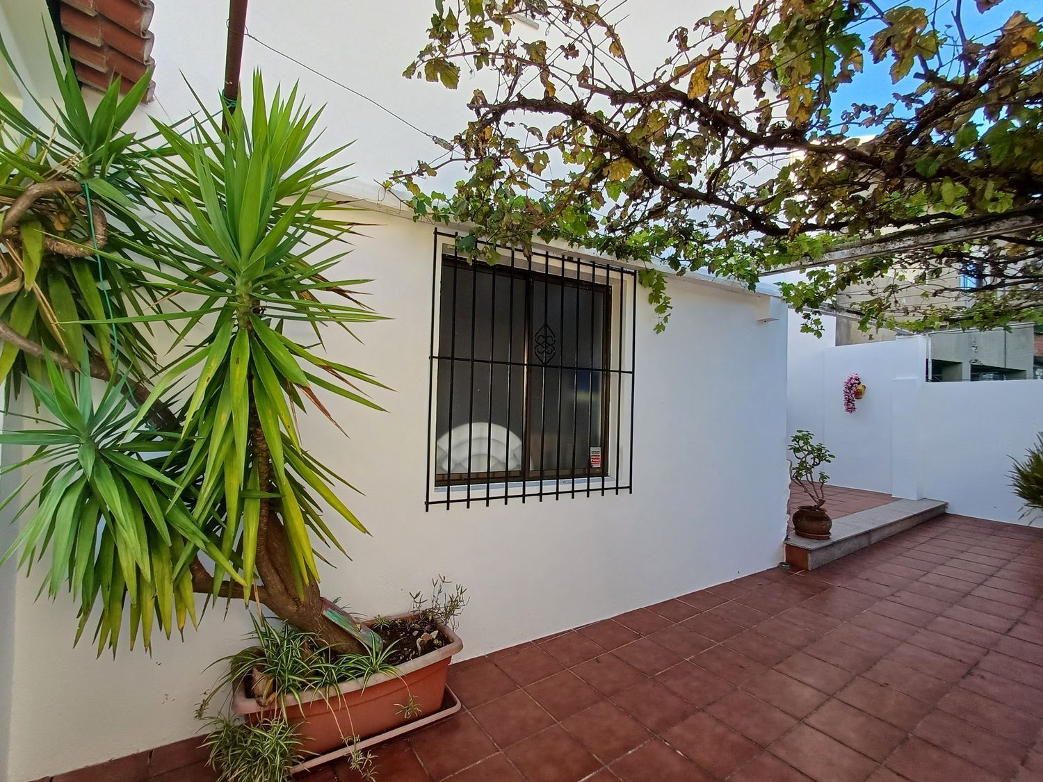 Casas o chalets-Venta-A Guarda-1426653-Foto-5