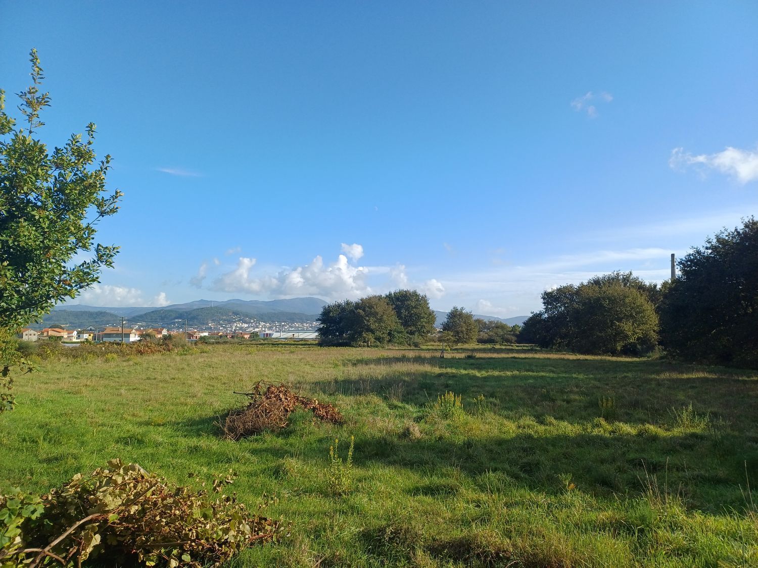 Casas o chalets-Venta-A Guarda-1426653-Foto-6