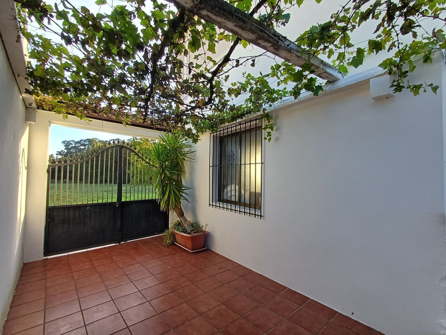 Casas o chalets-Venta-A Guarda-1426653-Foto-20