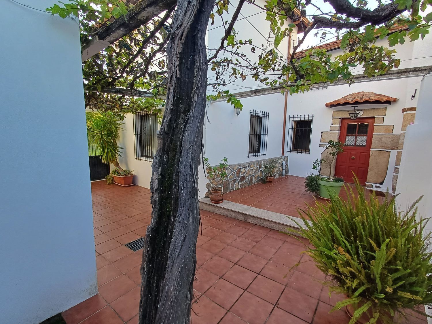 Casas o chalets-Venta-A Guarda-1426653-Foto-21