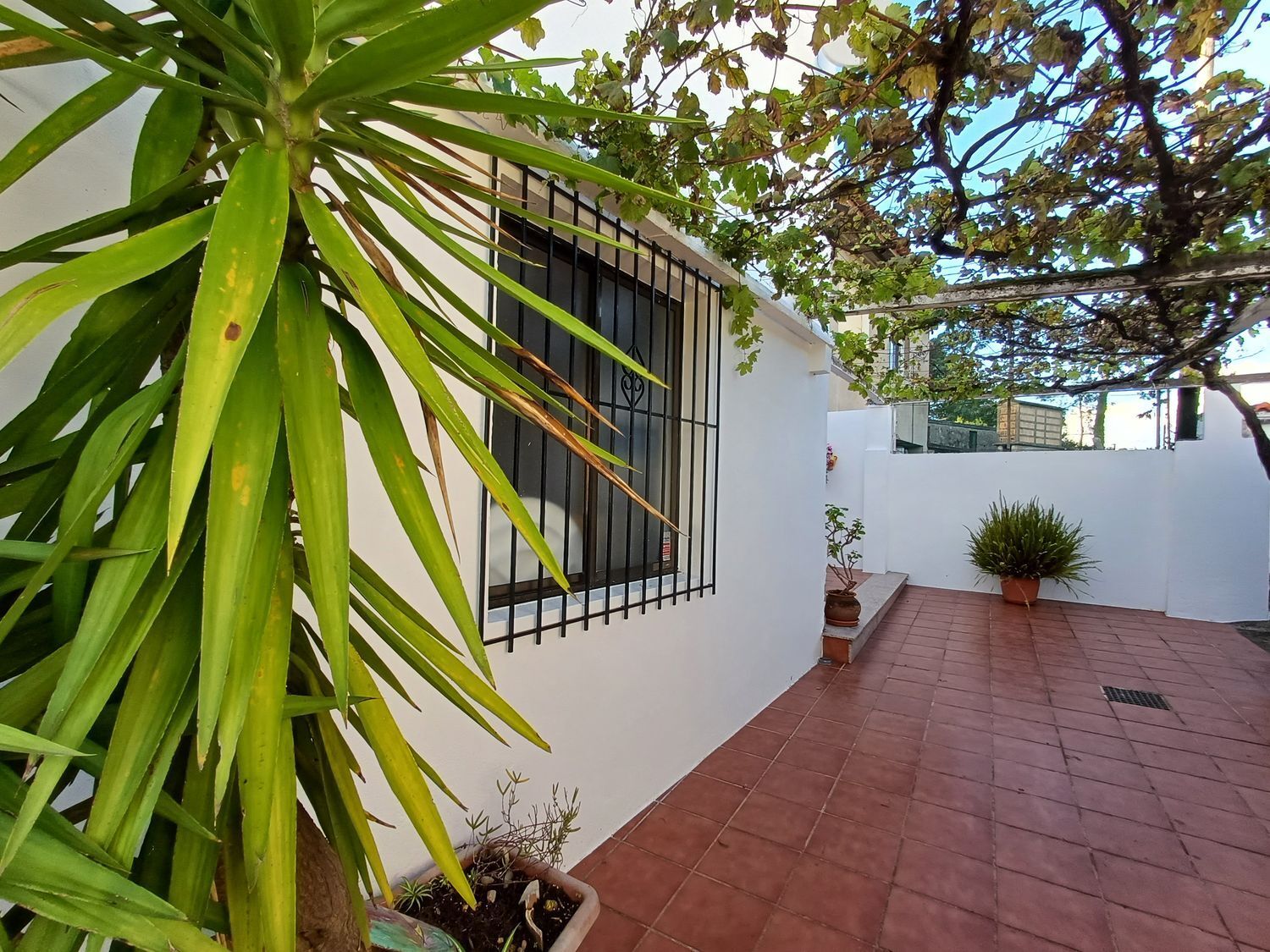 Casas o chalets-Venta-A Guarda-1426653-Foto-22