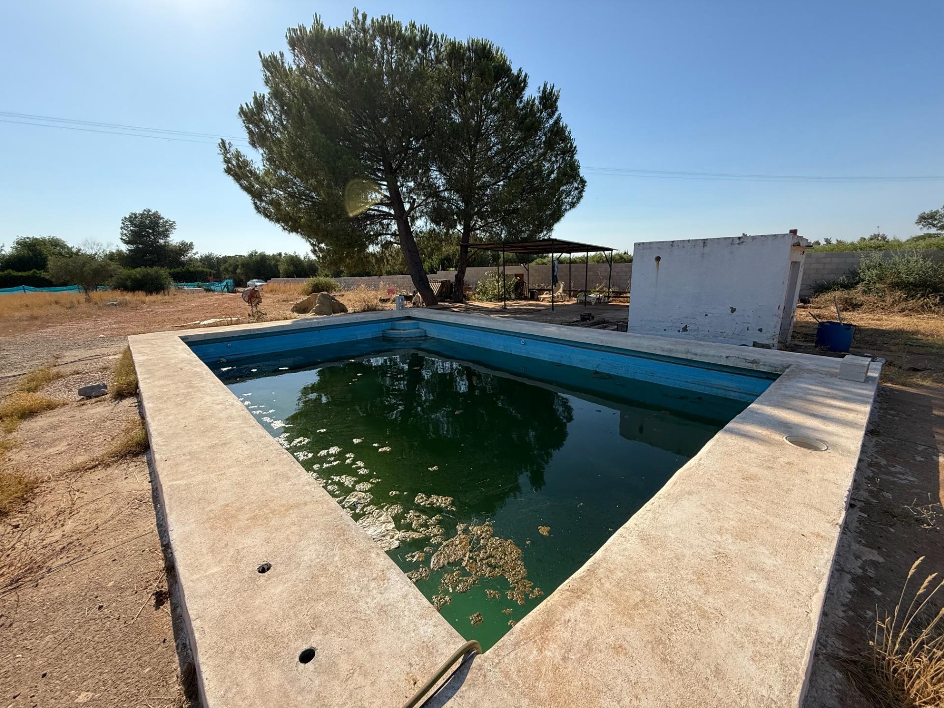 Fincas y solares-Venta-1831436