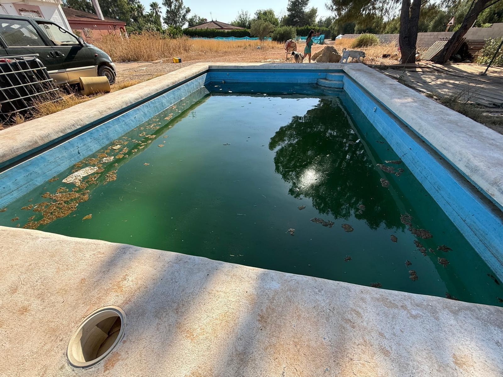 Fincas y solares-Venta-Carmona-1831436-Foto-3