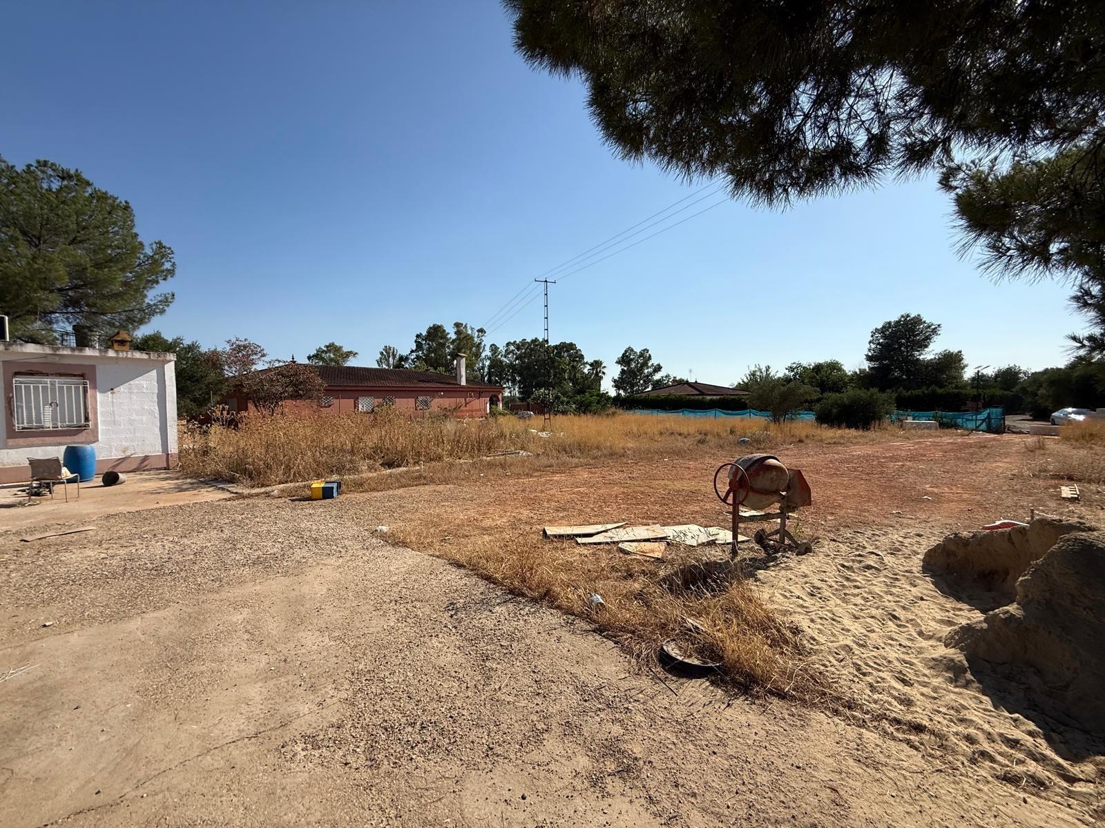 Fincas y solares-Venta-Carmona-1831436-Foto-5