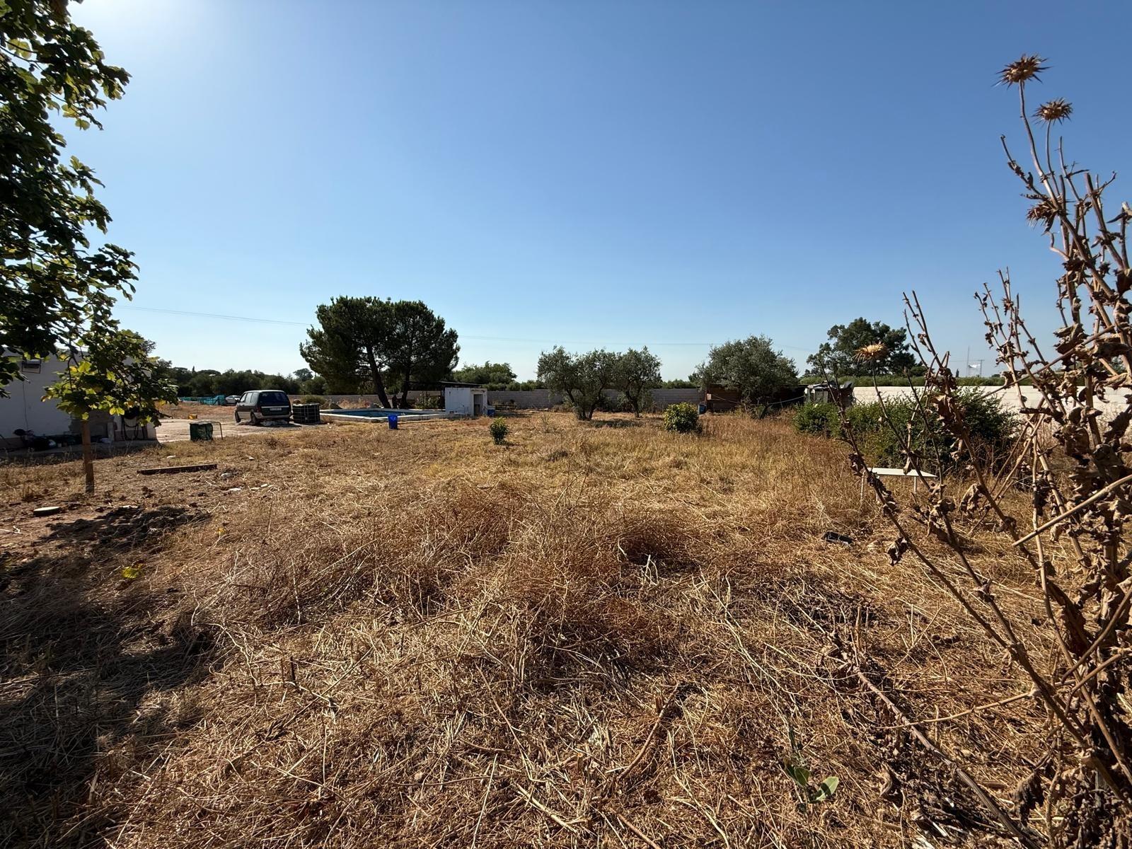 Fincas y solares-Venta-Carmona-1831436-Foto-8